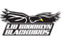 LIU Brooklyn