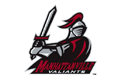 Manhattanville College