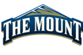 Mount St. Mary's  University